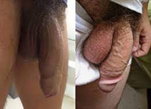 Pau Mole Fotos De Homens Penis Mole Machos Na Web Porno Gay